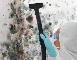 Trusted Limestone Creek, FL Mold Removal Services Experts